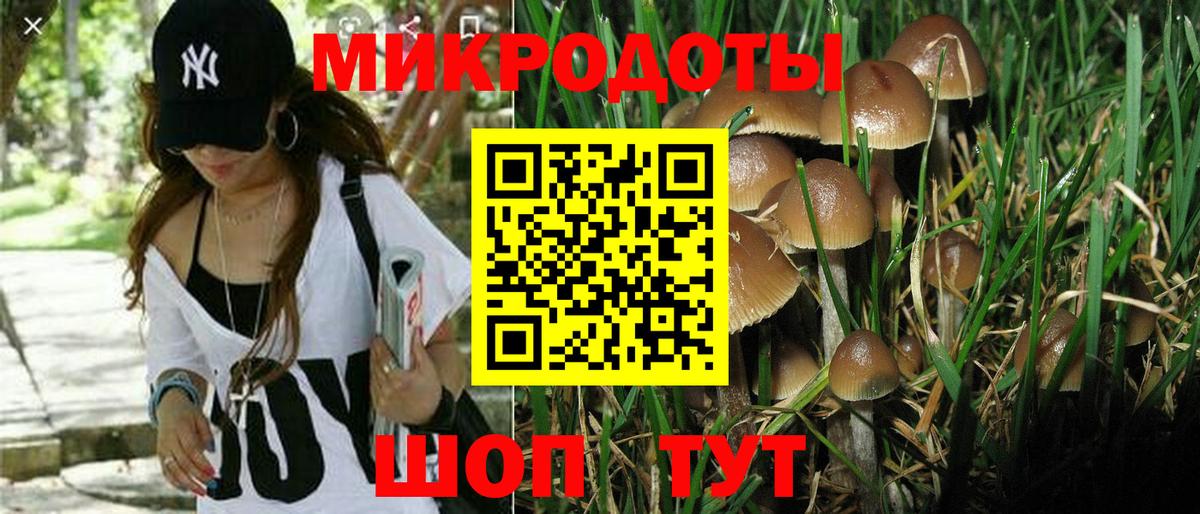 Мичуринск  Псилоцибиновые грибы Psilocybine cubensis  купить  цена  Вход с VPN 